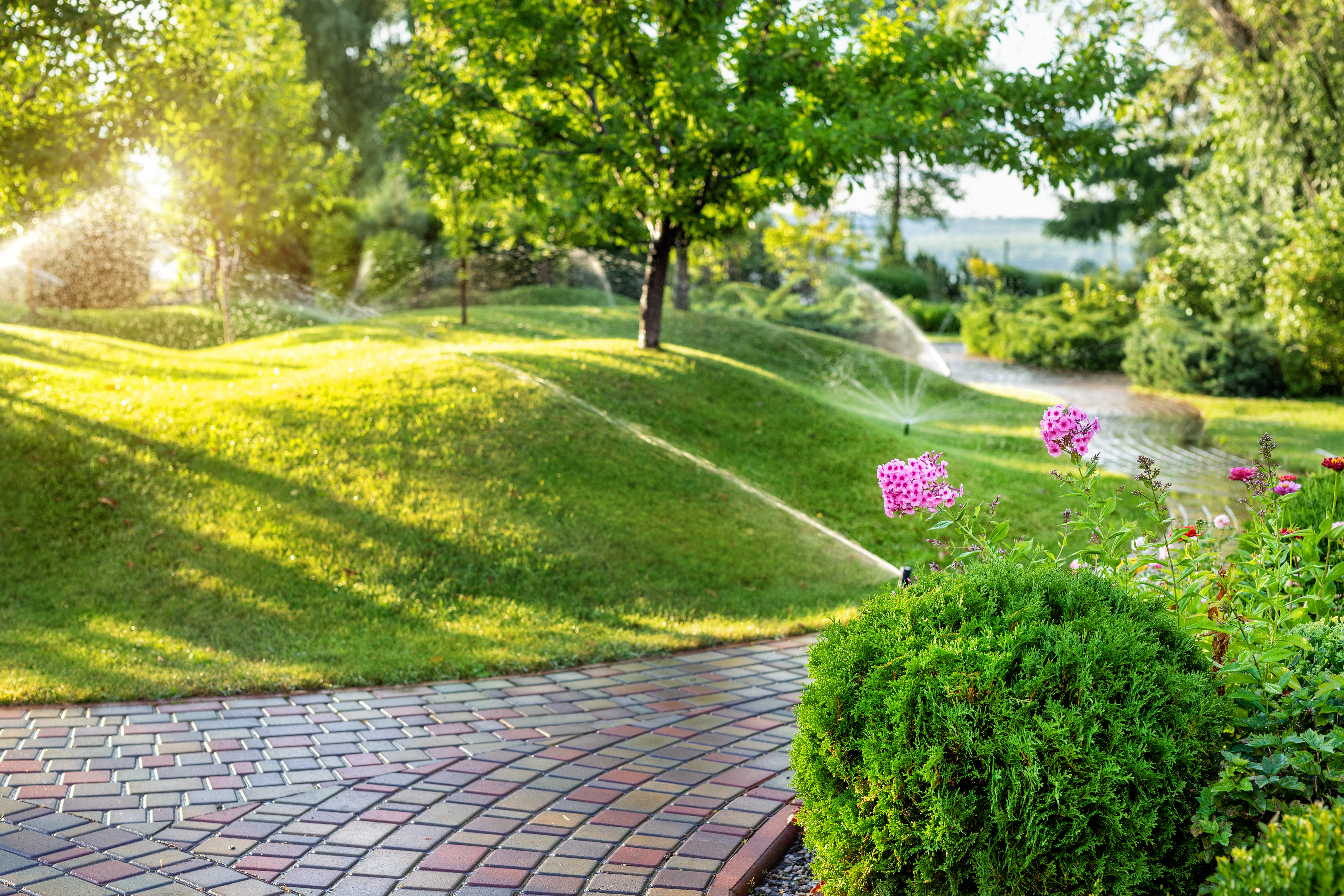 Jardin résidentiel équipé d'un arrosage automatique