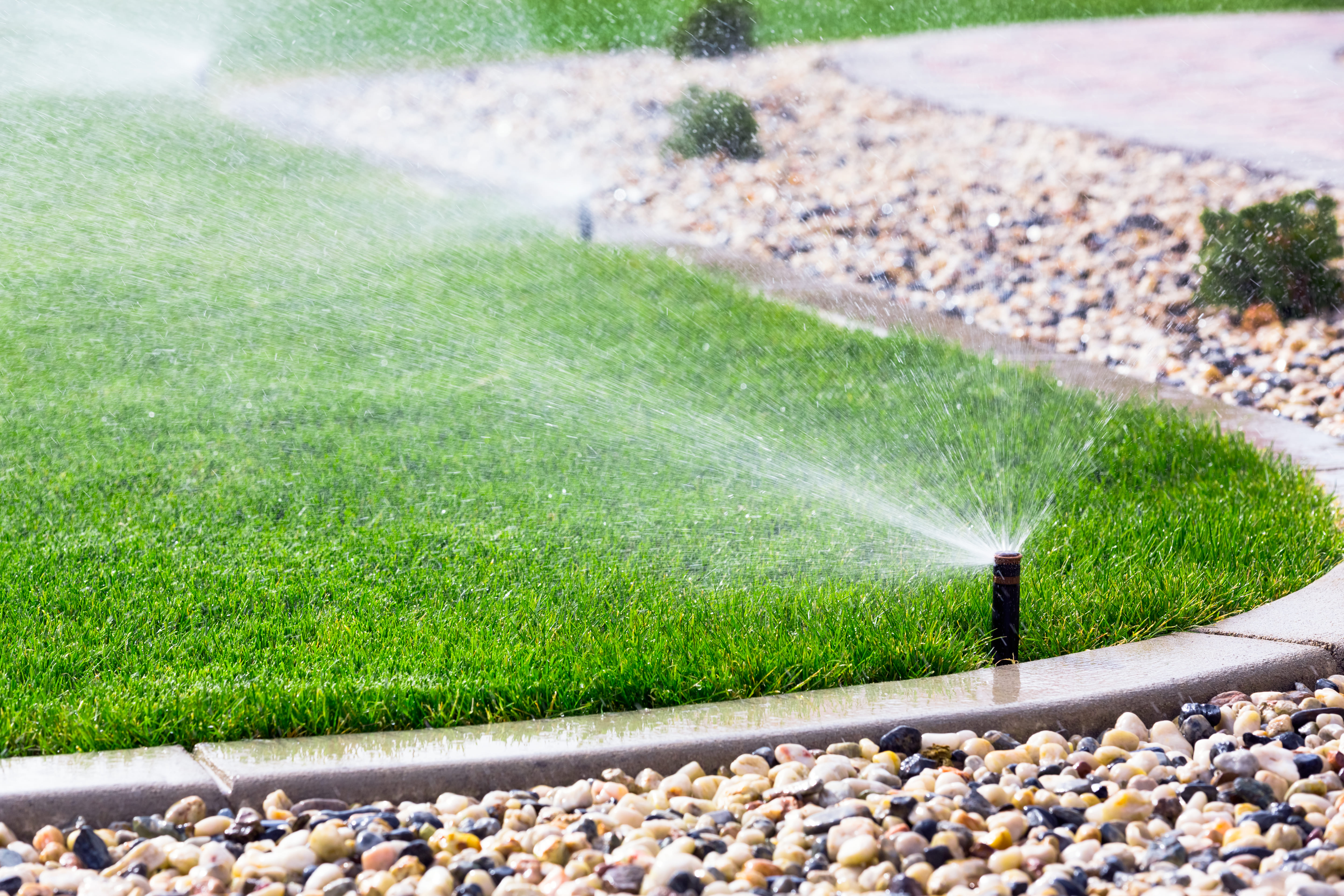 Goutte-à-goutte pour massifs et plantations